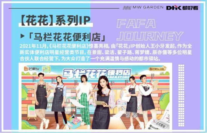 图片[3]-双屏综艺《花花环游记》招商方案PPT资源网盘下载[62P-17M]