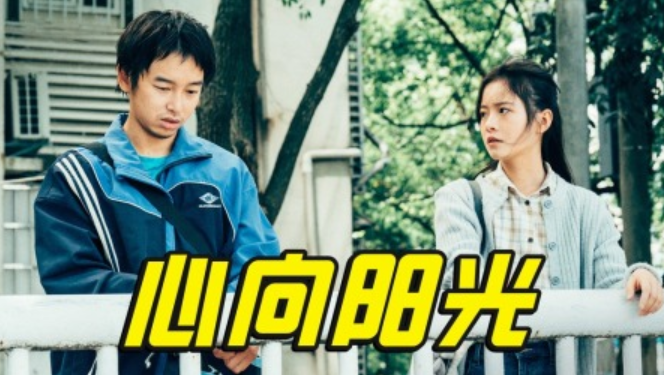 我们一起摇太阳免费观看完整版，我们一起摇太阳网盘资源最新[HD1080P/2G]
