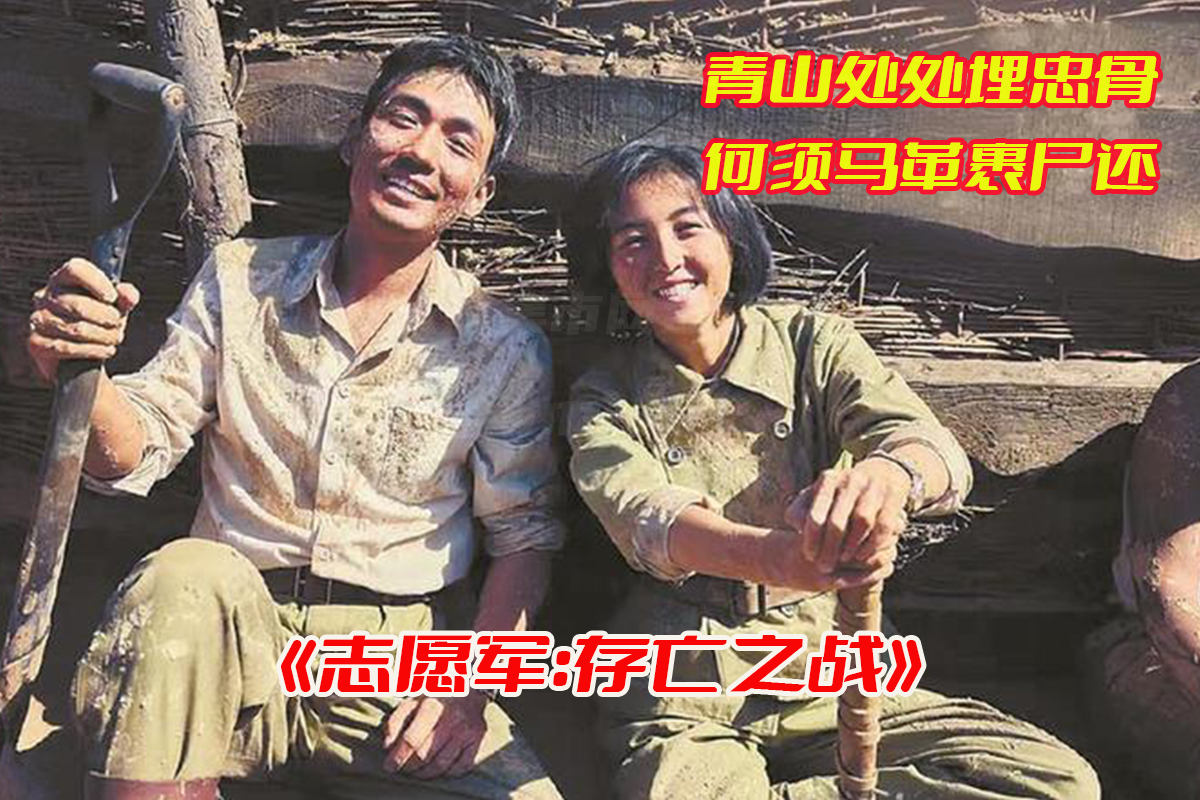 志愿军2存亡之战hd高清版免费观看，志愿军存亡之战电影完整版资源[HD1080P/1.77GB]