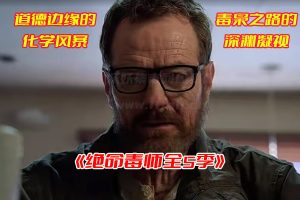 绝命毒师1—5季网盘超清资源无解压，绝命毒师资源全集链接下载[HD1080p/40.66GB]-妖妖集市