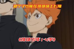 排球少年第1到4季全集免费完整版网盘资源下载(内含排球少年剧场版)[HD1080P/44.1GB]-妖妖集市