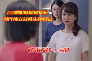 《欢乐颂》1~5部全集免费观看完整版，欢乐颂5部全集网盘资源下载[HD1080P/231.51GB]-妖妖集市