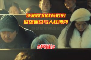 《黄雀》电视剧24集免费完整版，黄雀全集资源网盘链接下载[HD1080P/16.42GB]-妖妖集市