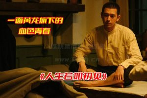 《人生若如初见》电视剧1-40集免费观看完整版，人生若如初见全集资源网盘链接下载[HD1080P/18.1GB]-妖妖集市