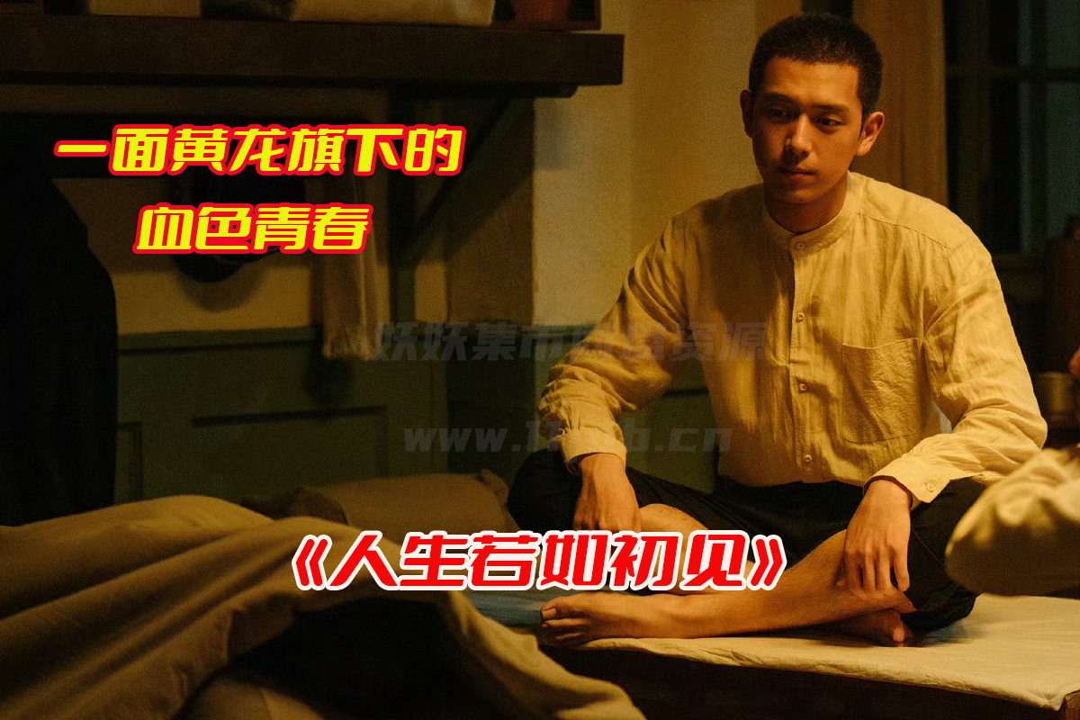 《人生若如初见》电视剧1-40集免费观看完整版，人生若如初见全集资源网盘链接下载[HD1080P/18.1GB]