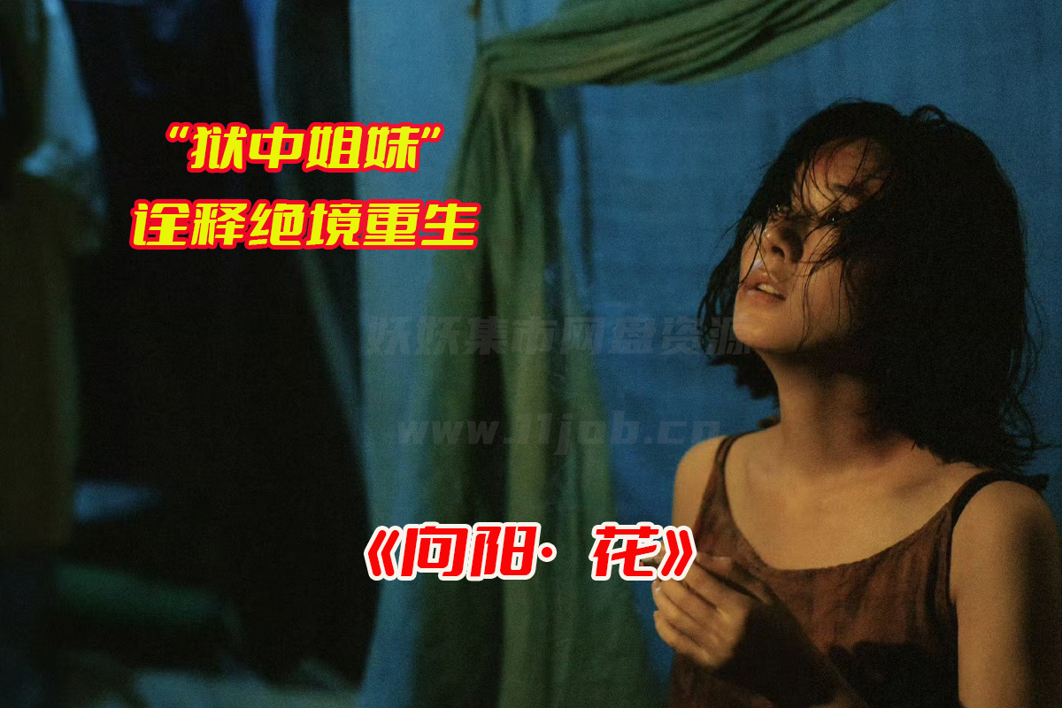 《向阳·花》电影全集资源完整版，向阳花电影资源网盘链接下载[HD1080P/6.18GB]