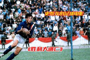 《胜利大逃亡》电影高清资源完整版，胜利大逃亡电影资源网盘链接下载[HD1080P/631MB]-妖妖集市