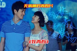 《致青春》电视剧1-40集全集高清完整版，致青春电视剧资源网盘链接下载[HD1080P/16.07GB]-妖妖集市