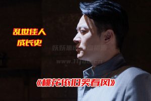 《桃花依旧笑春风》电视剧1-60集全集高清完整版，桃花依旧笑春风电视剧资源网盘链接下载[HD1080P/23.64GB]-妖妖集市