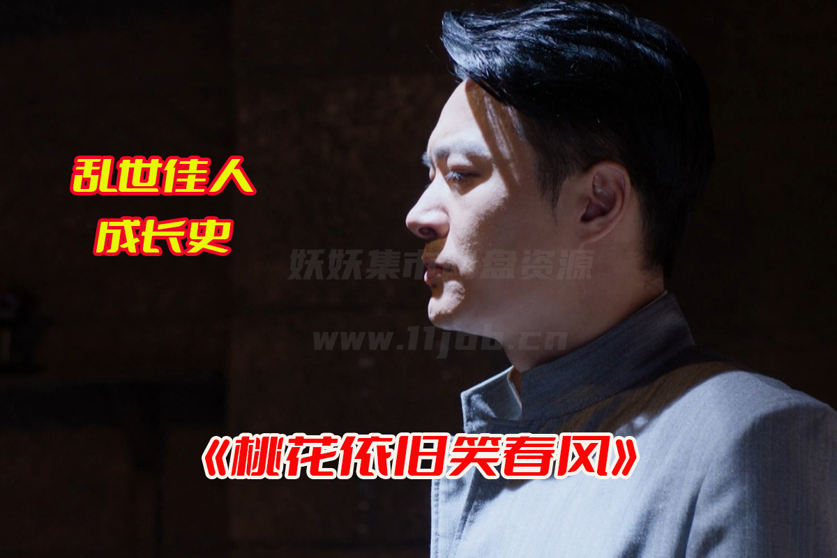 《桃花依旧笑春风》电视剧1-60集全集高清完整版，桃花依旧笑春风电视剧资源网盘链接下载[HD1080P/23.64GB]