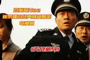 《无处藏身》电视剧1-25集全集高清完整版，无处藏身电视剧资源网盘链接下载[HD1080P/14.82GB]-妖妖集市