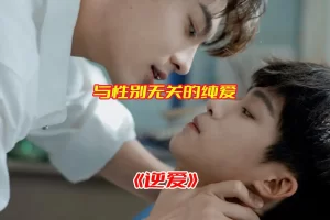 《逆爱》双男主电视剧全集未删减高清完整版，逆爱电视剧资源网盘链接下载[HD1080P/20.2GB]-妖妖集市