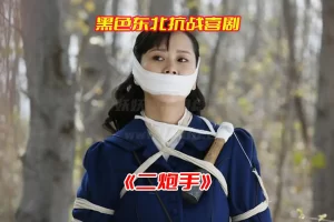 《二炮手》电视剧1-36集全集高清完整版，二炮手电视剧未删减资源网盘链接下载[HD1080P/11.35GB]-妖妖集市