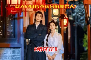 《惜花芷》电视剧1-40集全集高清完整版，惜花芷电视剧未删减资源网盘链接下载[HD1080P/42.4GB]-妖妖集市