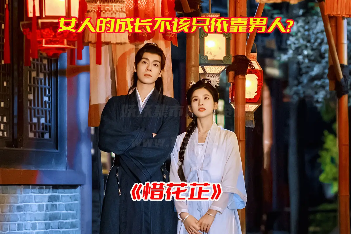 《惜花芷》电视剧1-40集全集高清完整版，惜花芷电视剧未删减资源网盘链接下载[HD1080P/42.4GB]