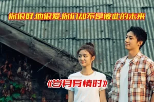 《岁月有情时》国产电视剧高清完整版，岁月有情时电视剧全集资源网盘链接下载[HD1080P/36.17GB]-妖妖集市